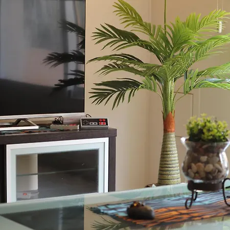 Appartement A Piece Of Africa In Mandria By Vichy Holidays Paphos